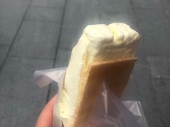 椰子味-詹爷爷乌节路街头冰淇淋