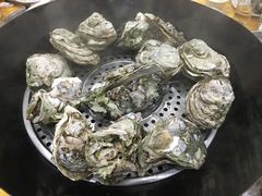 -蚝专家(北滘店)