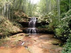 -漫山居私汤民宿全竹宴
