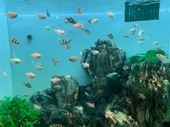 -多彩贵州城极地海洋世界