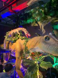 -恐龙探索乐园(磁器口店)