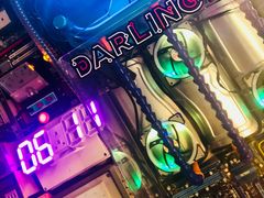 -Darling Queen·Mini·Live·House