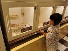 -龙猫仔乐园(惠福东路店)