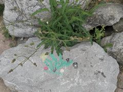 -桂溪生态公园