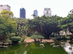 -九龙公园