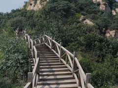 -大岭沟猕猴桃谷风景区