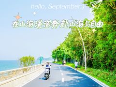 -杨梅坑