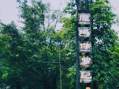 -森波拉火山温泉