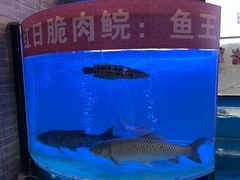 -红日饭店(裕隆三路店)