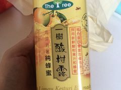 -三叔公