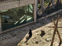 -石家庄市动物园