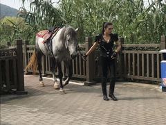 -无锡动物园·太湖欢乐园
