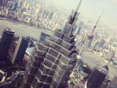 -上海柏悦酒店·世纪100牛排馆