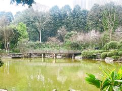 -龙头寺公园
