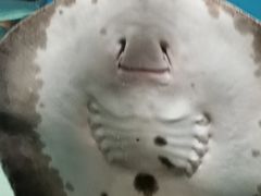 -苏州海洋馆
