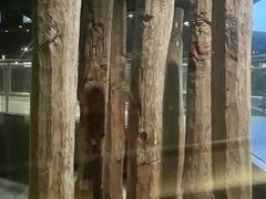 -元代水闸遗址博物馆