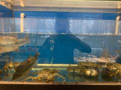 -华盛丰温州大排档(东三环南路店)