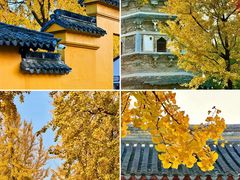 -相门城墙文化休闲景区