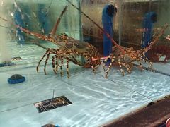 -阿伟海鲜楼·福建菜(延寿店)