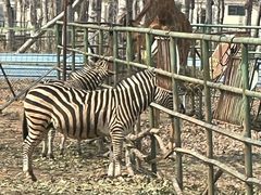 -秦皇岛野生动物园