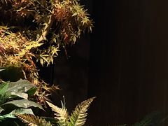 -御养源·影院式足道·按摩SPA·星级自助餐(青秀店)