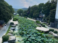 -云龙湖旅游景区