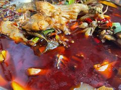 牛蛙-宽口美蛙鱼头(大唐西市店)