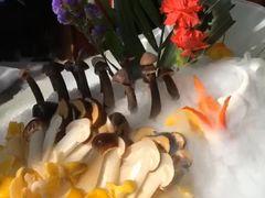 人参鸡汤菌王锅-采蝶轩