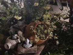 -贰醒·私房小院烧烤 (太古里店)