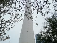 -辽宁电视塔