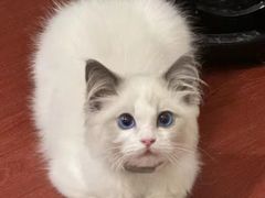 -猫遇摄影工作室