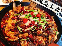 -老板恋上鱼(恒隆广场店)