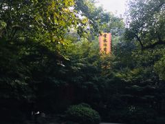 -杭州黄龙洞