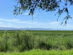 -野鸭湖国家湿地公园