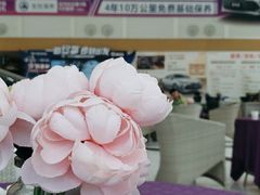 -佛山骏安一汽丰田4S店(南海区店)