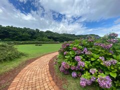 -济州森林小火车生态公园