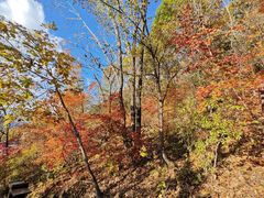 -五女峰国家森林公园