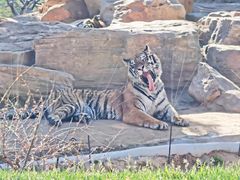 -北京野生动物园