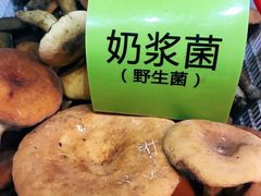 -菌海森林·非遗野生菌火锅(西山区滇池路摩根道店)