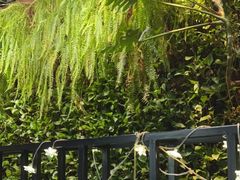 -HOME餐厅粤菜 融合菜