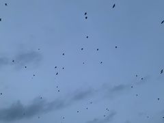 -金森红砖仓库