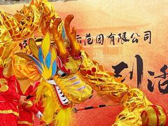 -嬉乐湾休闲旅游区