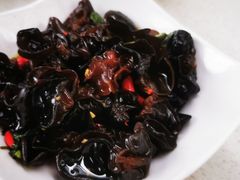 -墨脱石锅椰子鸡•香草鸭•东山羊(大东海店)