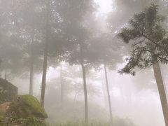 -青城山