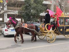 -茯茶镇