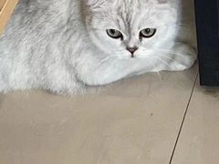 -佳雯宠物医院·皮肤科·内外科(春晓路分院)