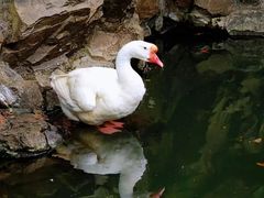 -兰亭风景区