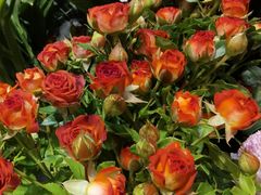 -爱尚幸福鲜花(上地实体店)