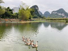 -靖西鹅泉风景区
