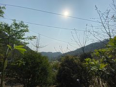 -楠柏弯休闲山庄(梨花溪店)